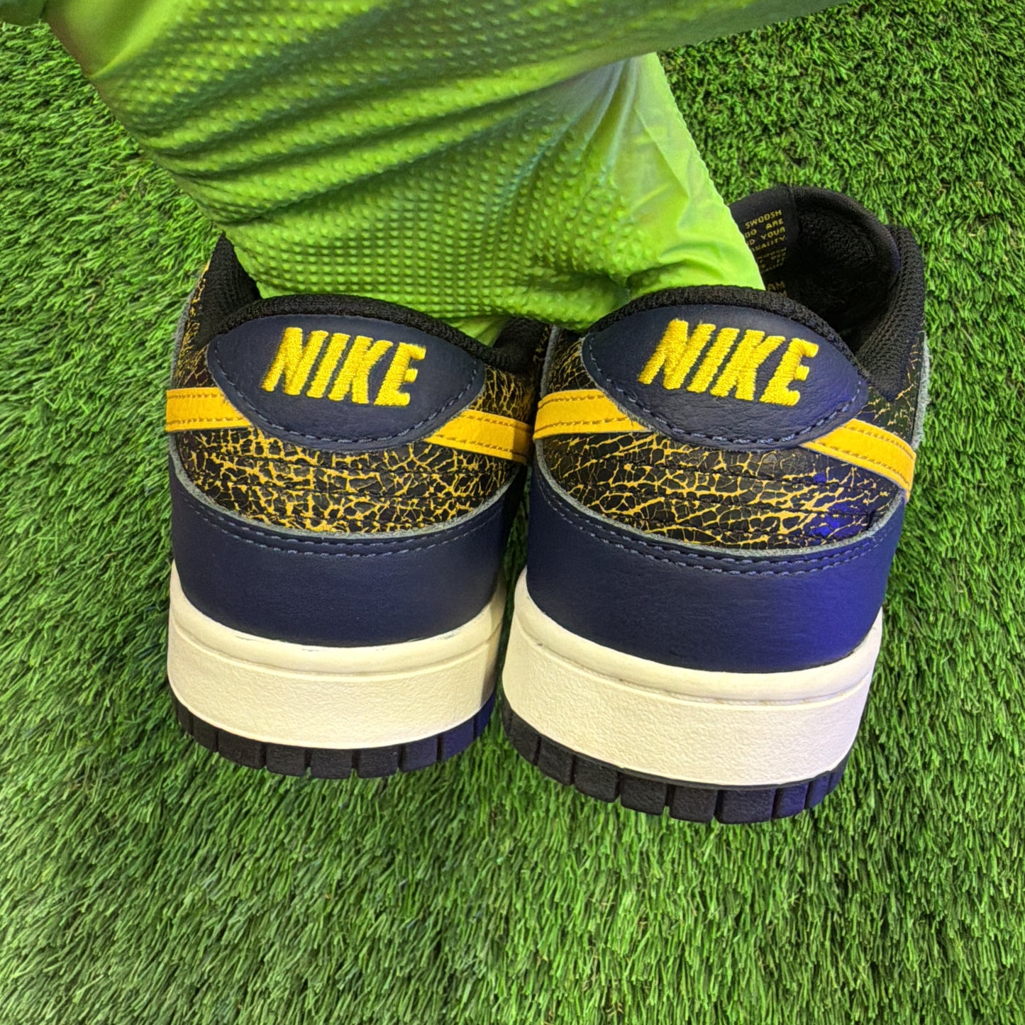 Nike Dunk Low 'Vintage Michigan'