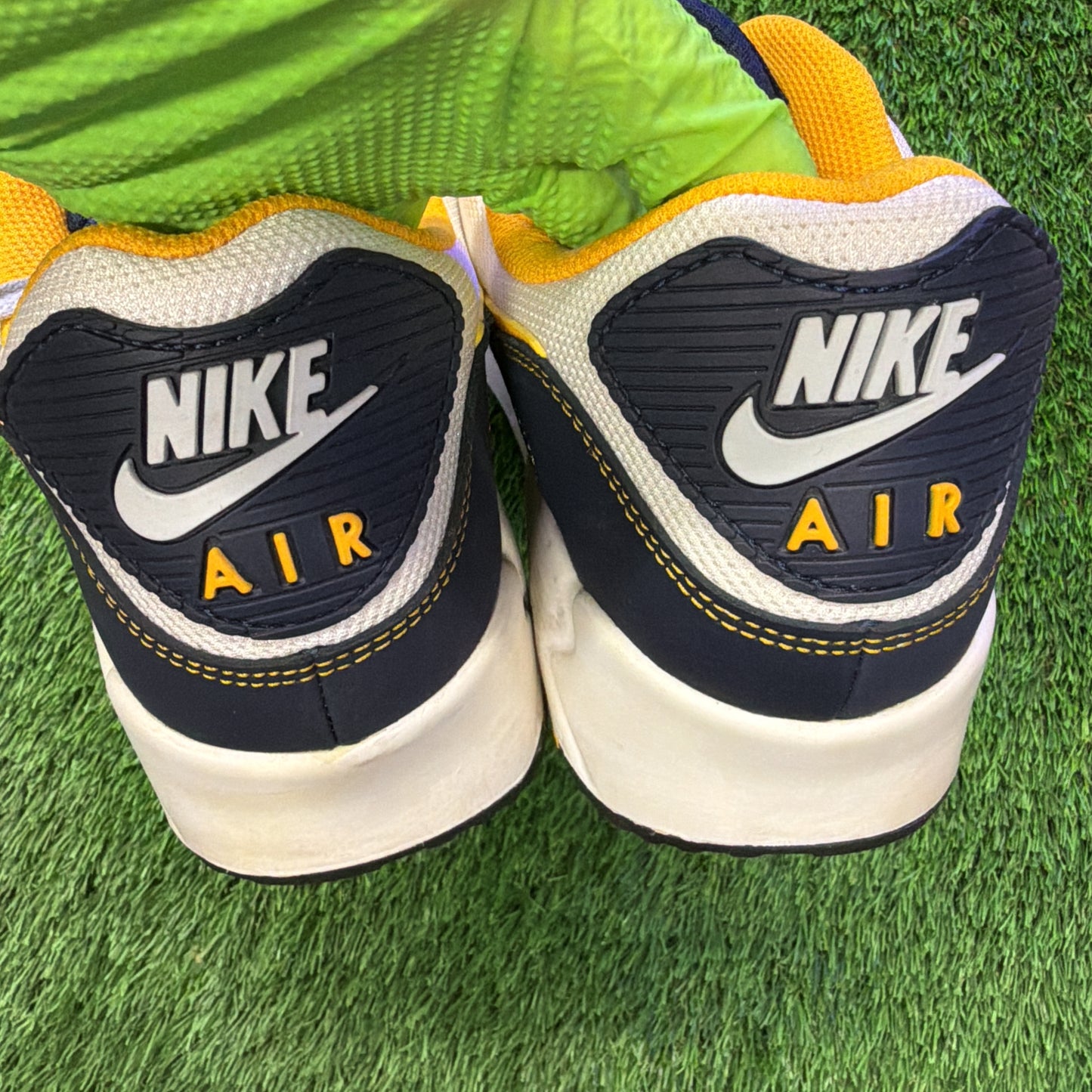Nike Air Max 90 'Dunk From Above'