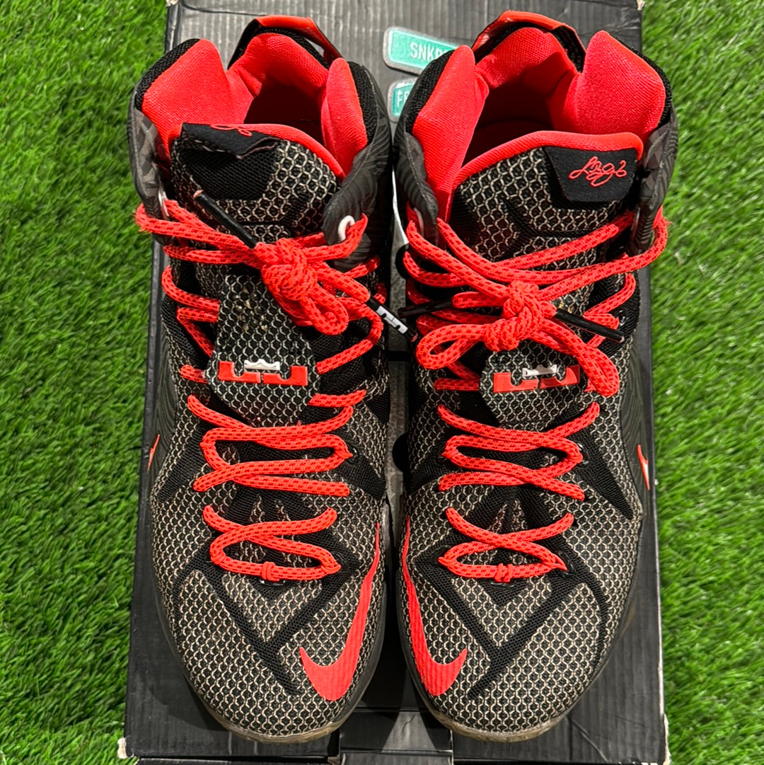 LeBron 12 'Court Vision'