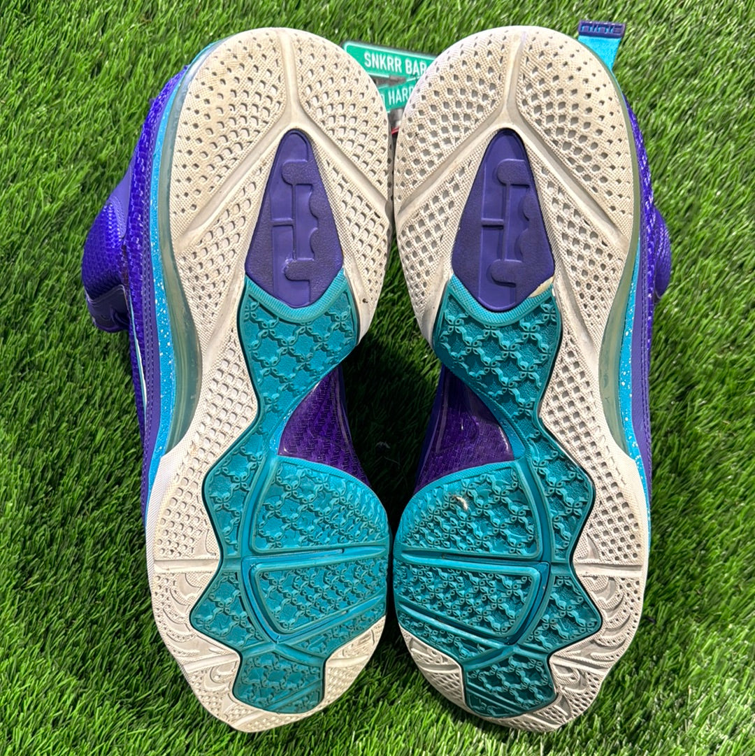 LeBron 9 'Summit Lake Hornets'