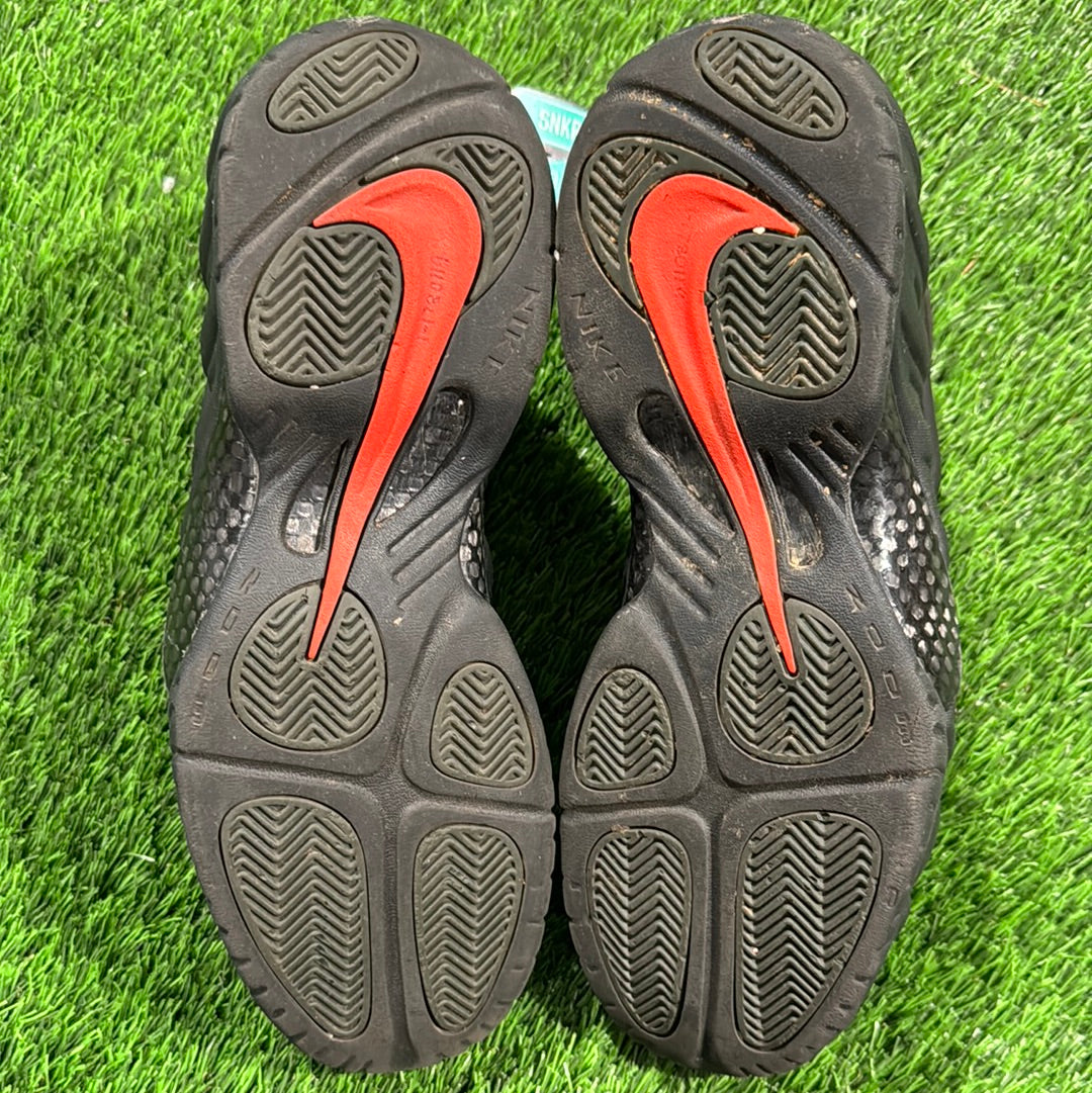 Air Foamposite Pro 'Sequoia'
