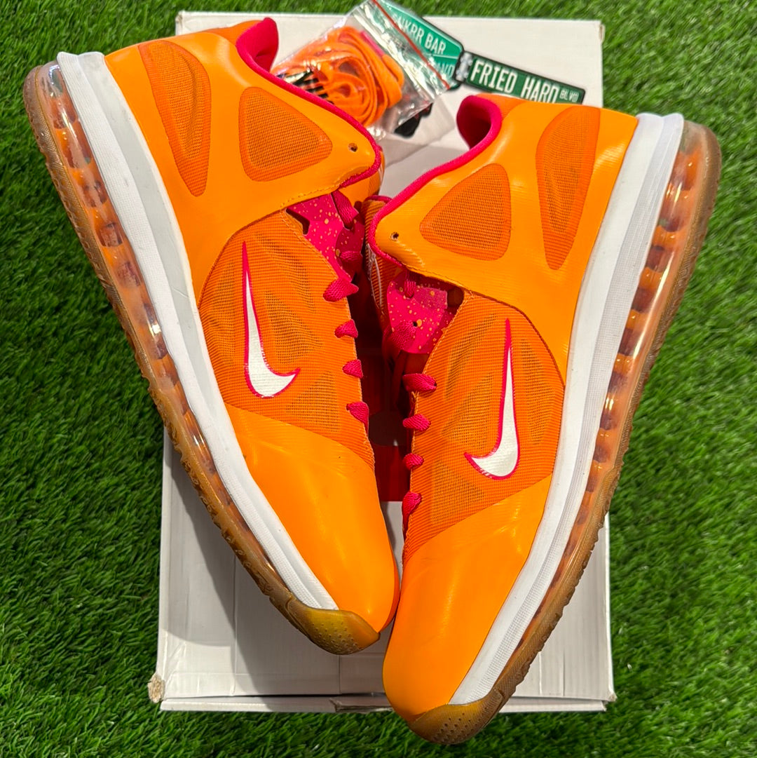 LeBron 9 Low 'Floridian'