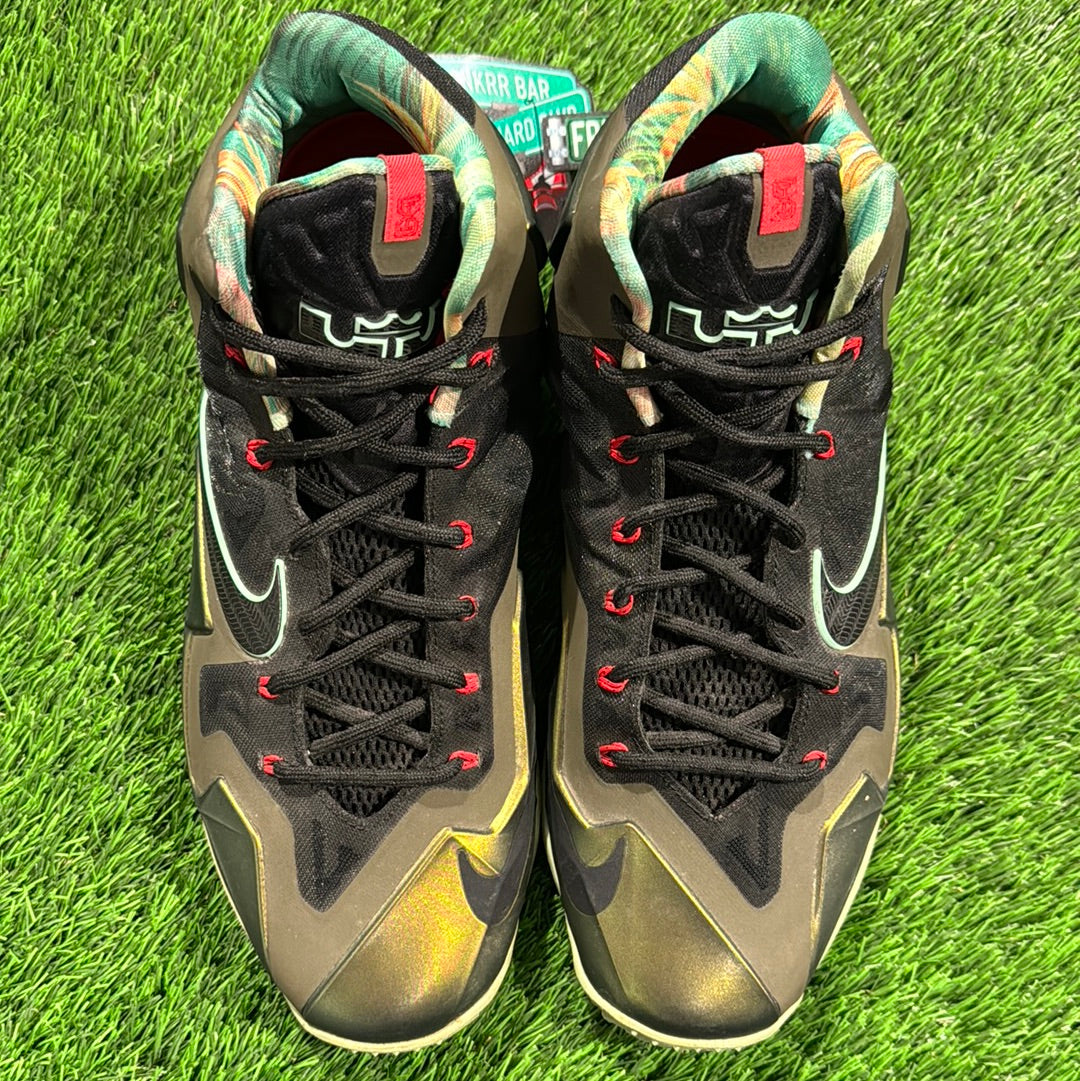 LeBron 11 'King's Pride'