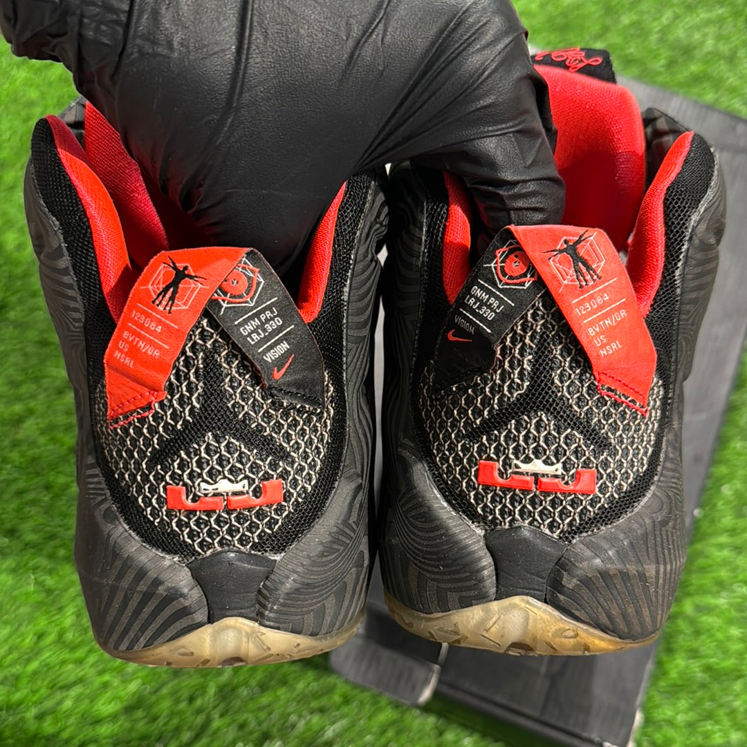 LeBron 12 'Court Vision'