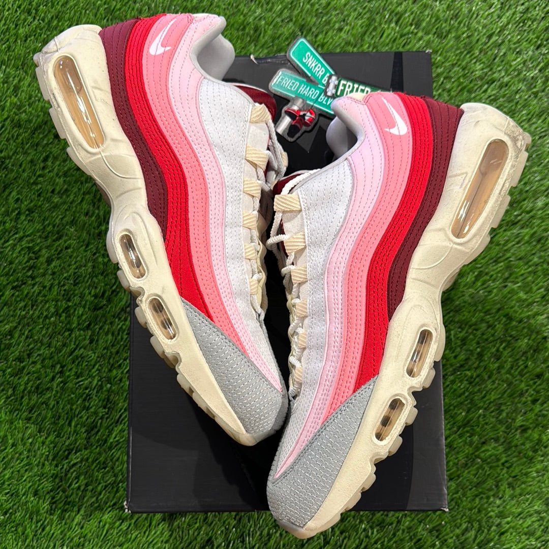 Air Max 95 'Anatomy Of Air'
