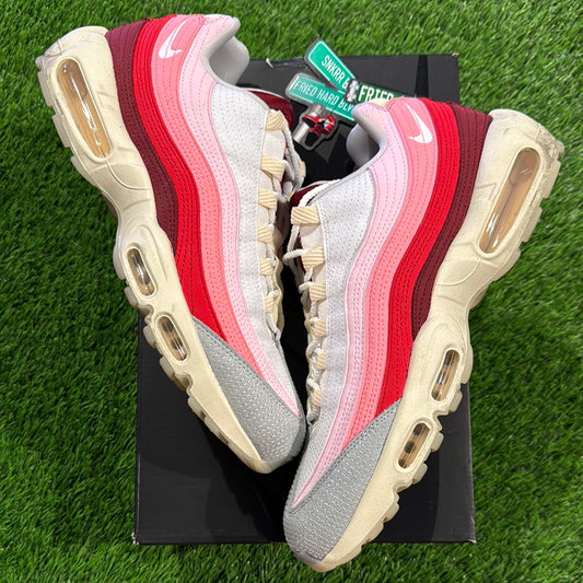 Air Max 95 'Anatomy Of Air'