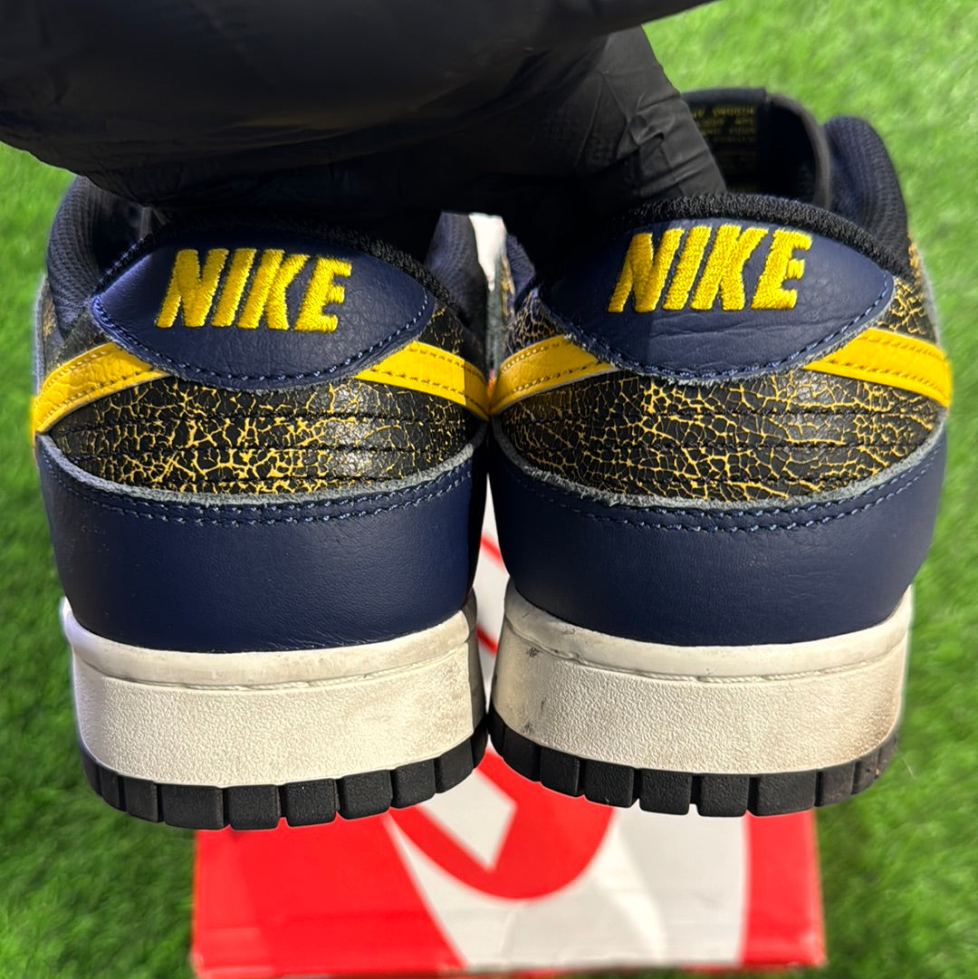 Dunk Low 'Vintage Michigan'