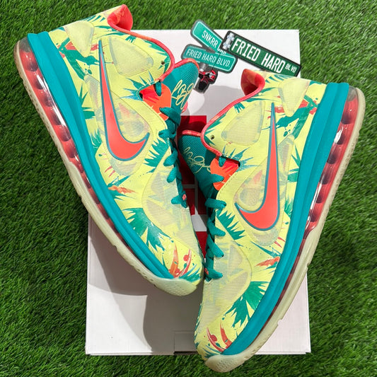 LeBron 9 Low 'LeBronold Palmer'