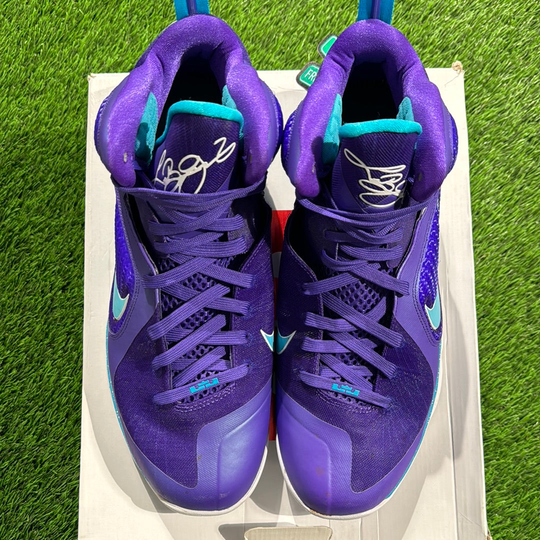 LeBron 9 'Summit Lake Hornets'