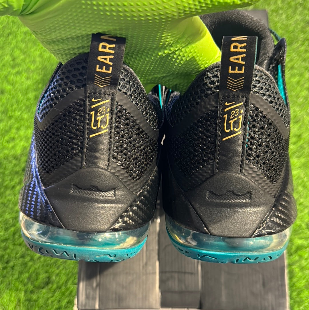 LeBron 12 Low 'Carbon Fiber' 11M/12.5W