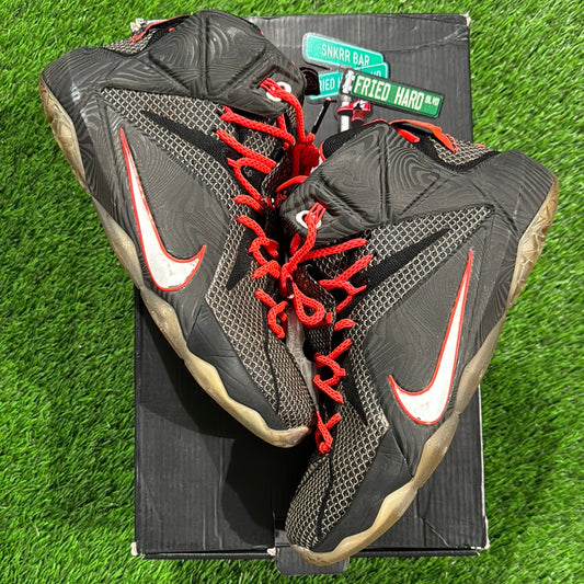 LeBron 12 'Court Vision'