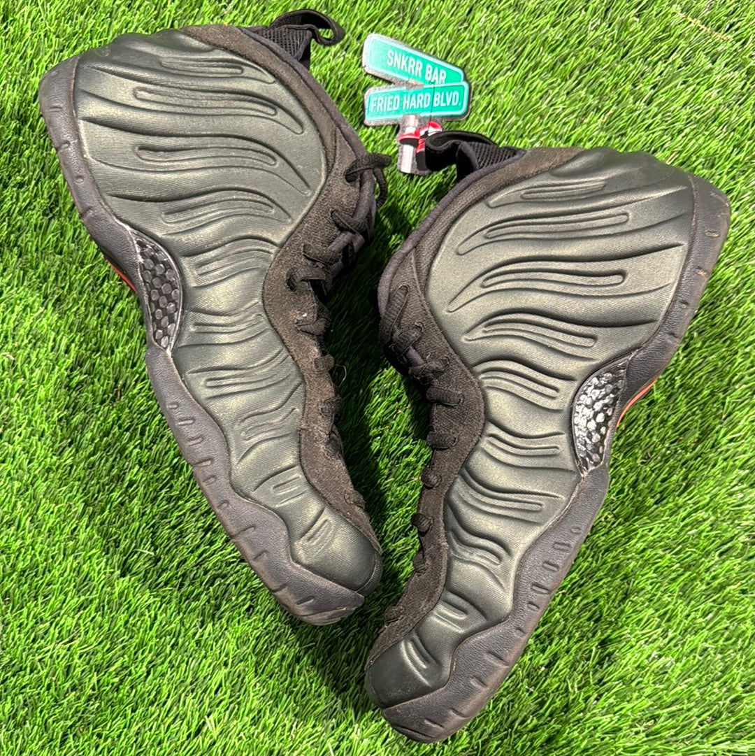 Air Foamposite Pro 'Sequoia'