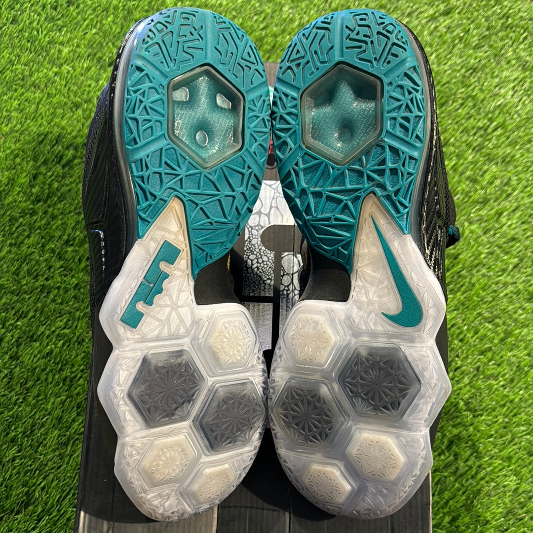 LeBron 12 Low 'Carbon Fiber' 11M/12.5W