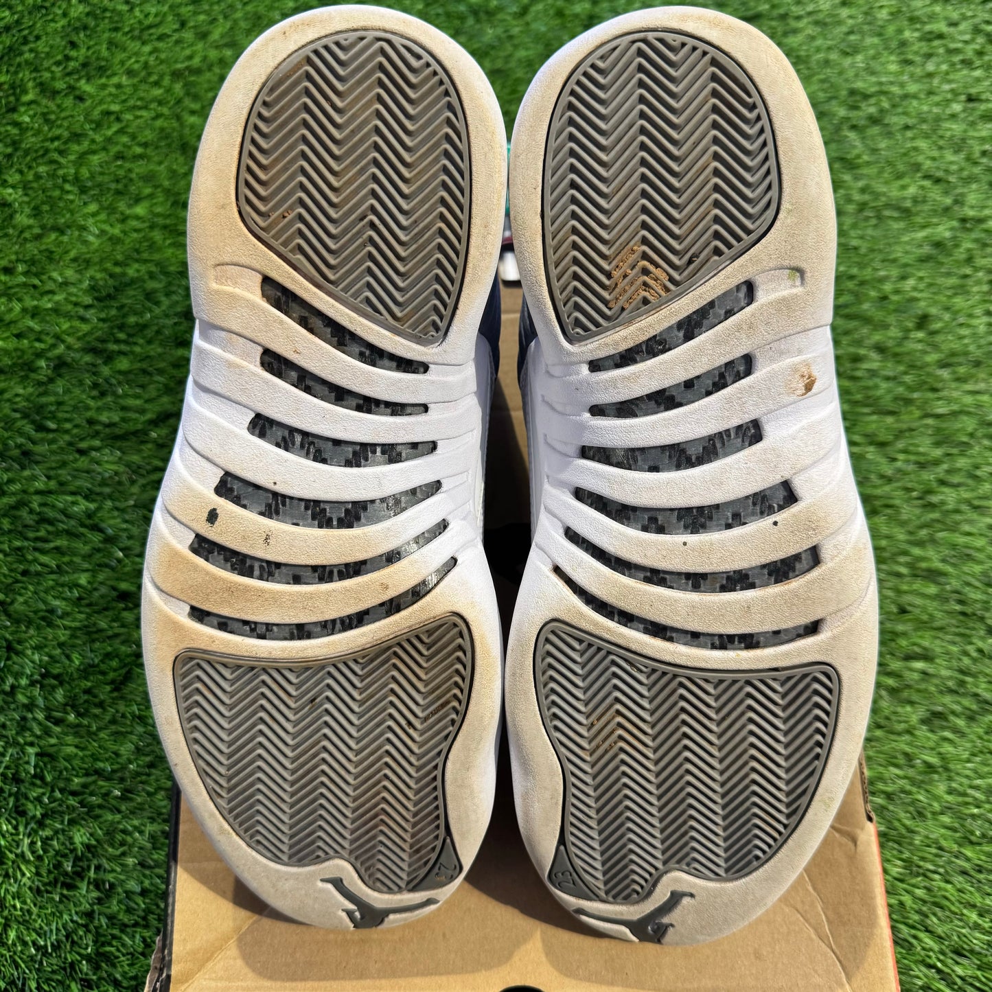 Air Jordan 12 Retro 'Stealth'