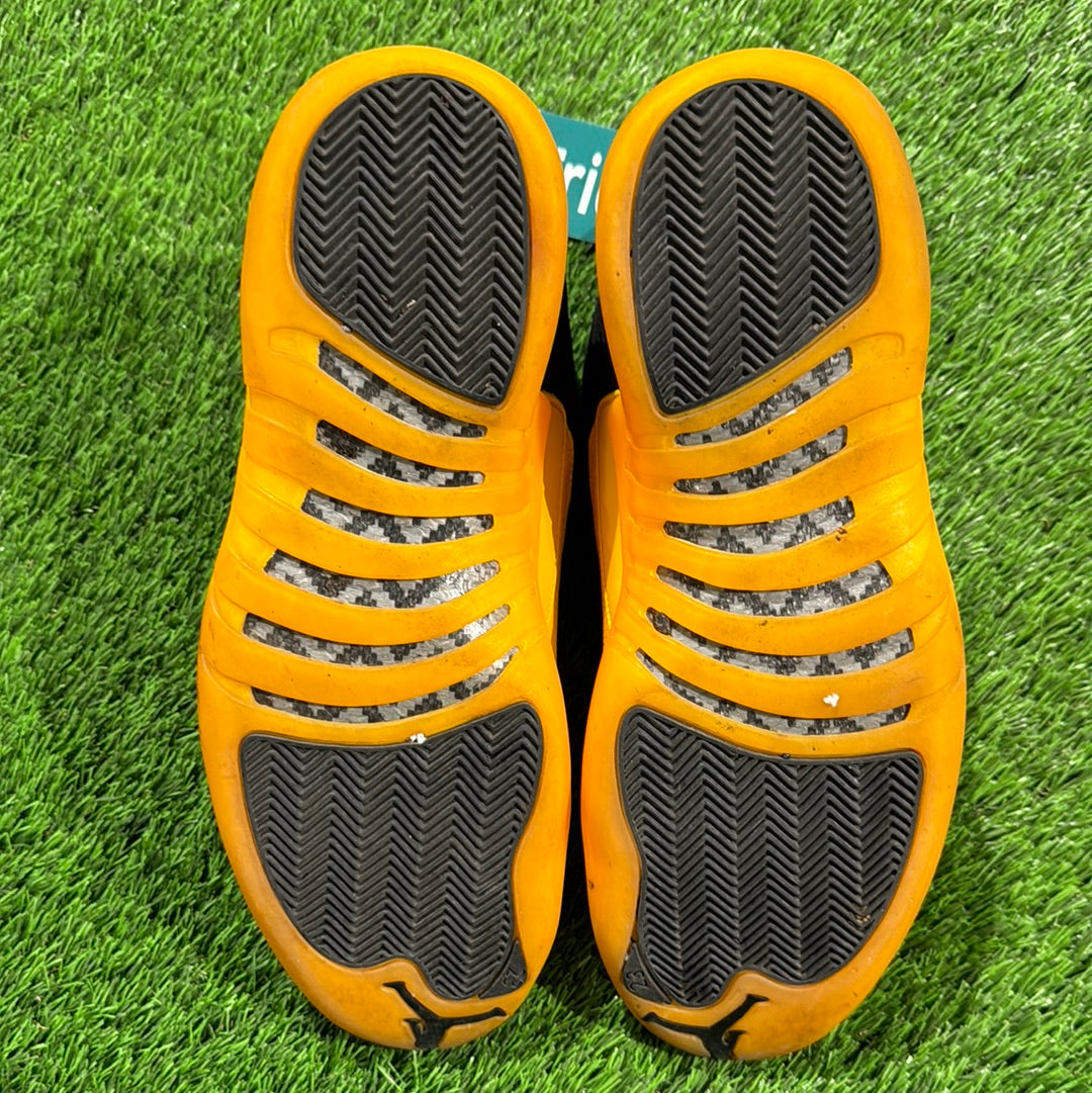 Air Jordan 12 Retro 'University Gold'
