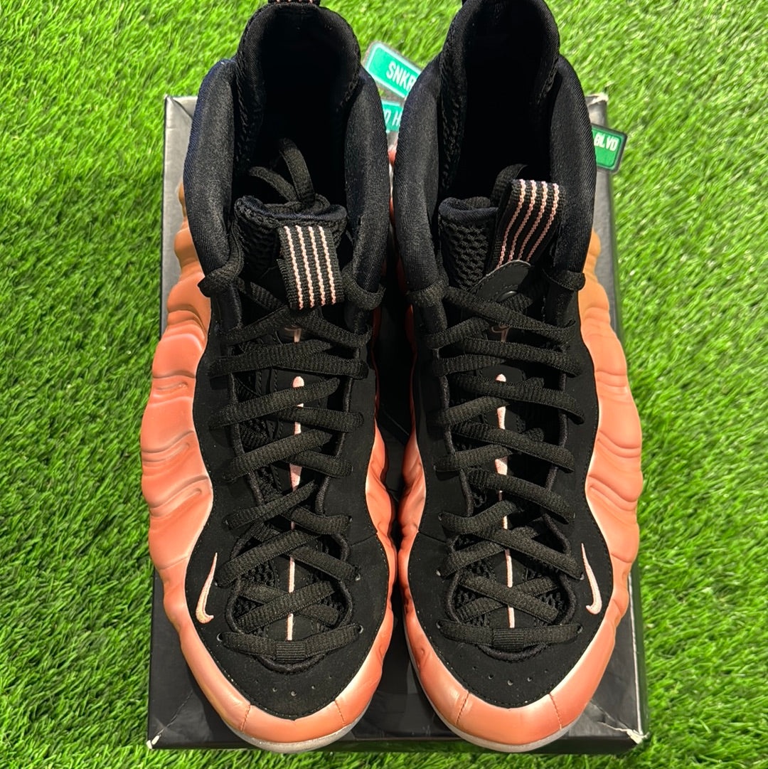Air Foamposite One 'Elemental Rose'