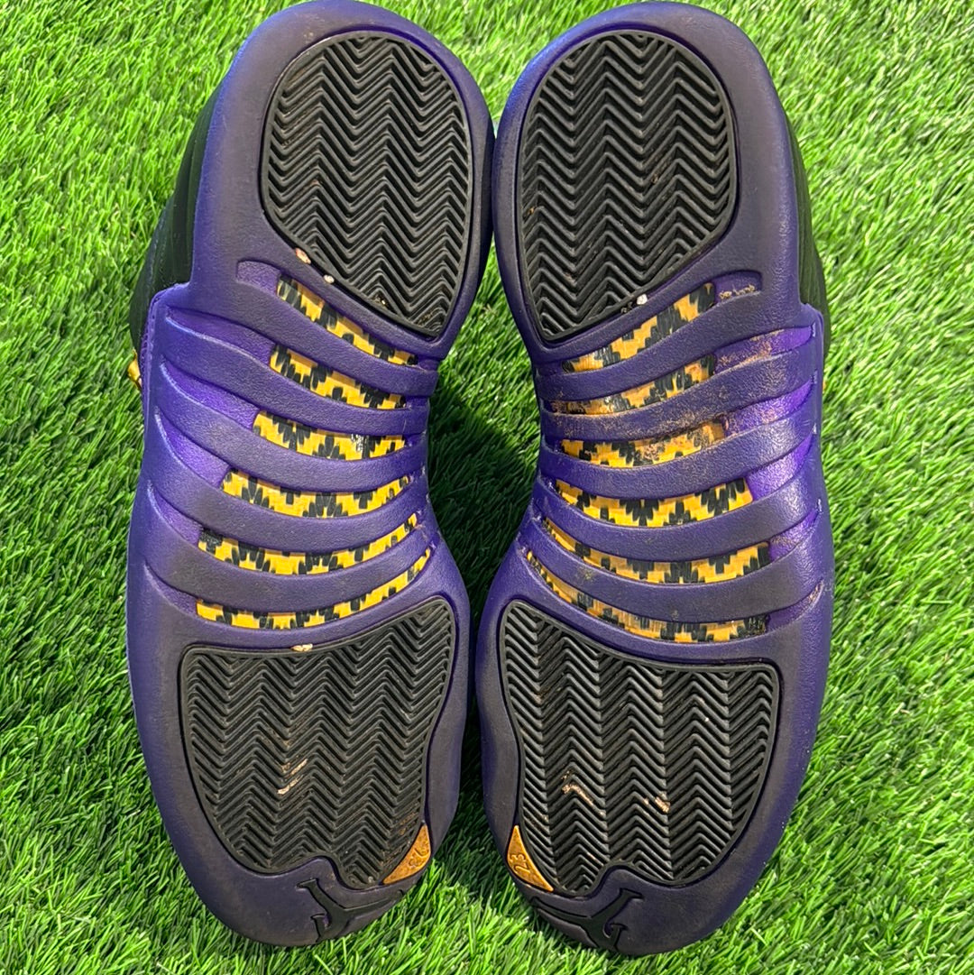 Air Jordan 12 Retro 'Field Purple'