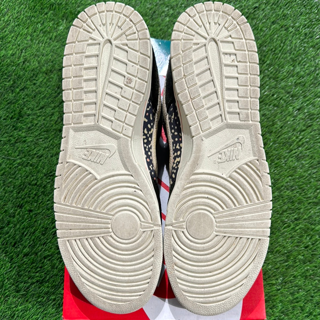 Dunk Low SE 'Gone Fishing - Rainbow Trout'