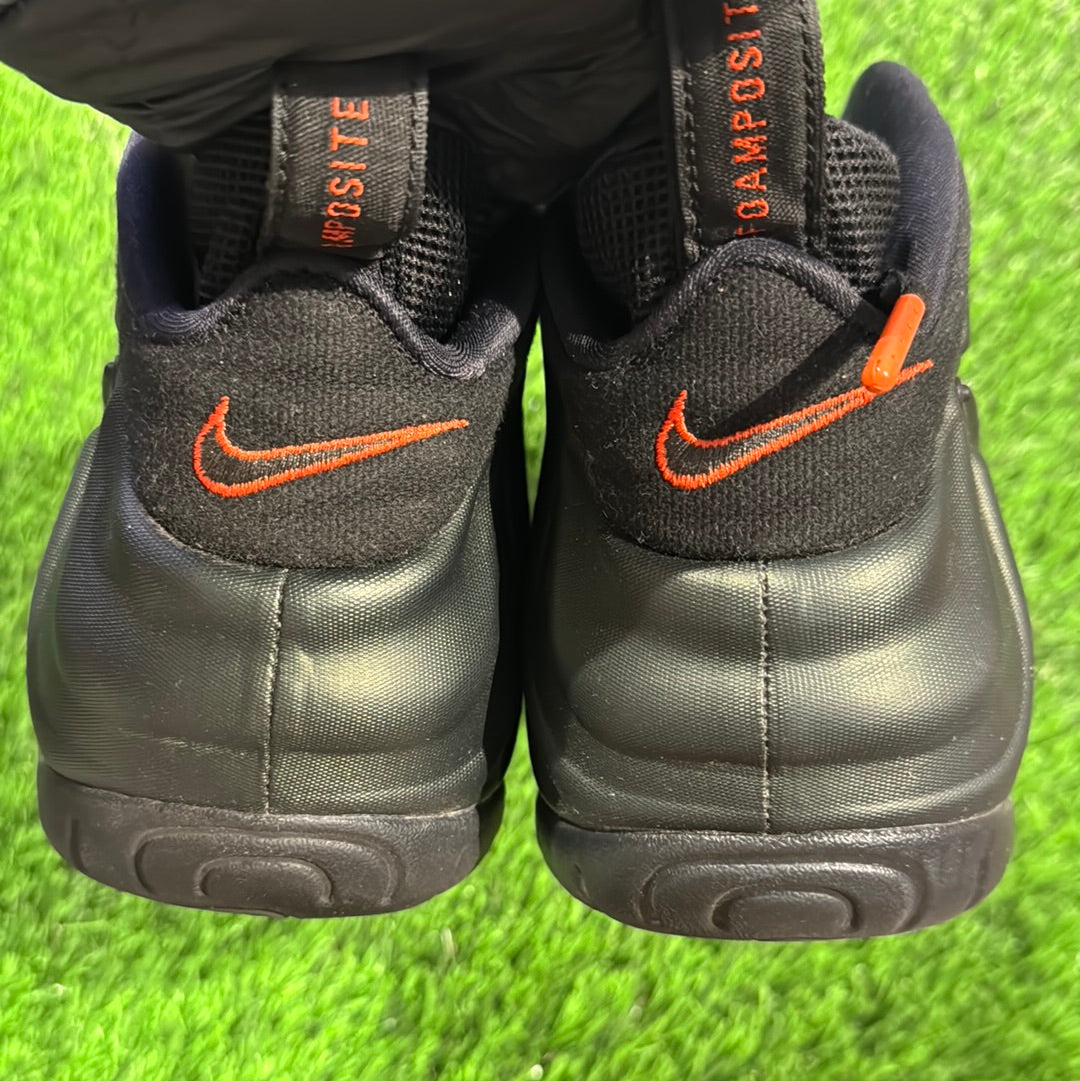 Air Foamposite Pro 'Sequoia'