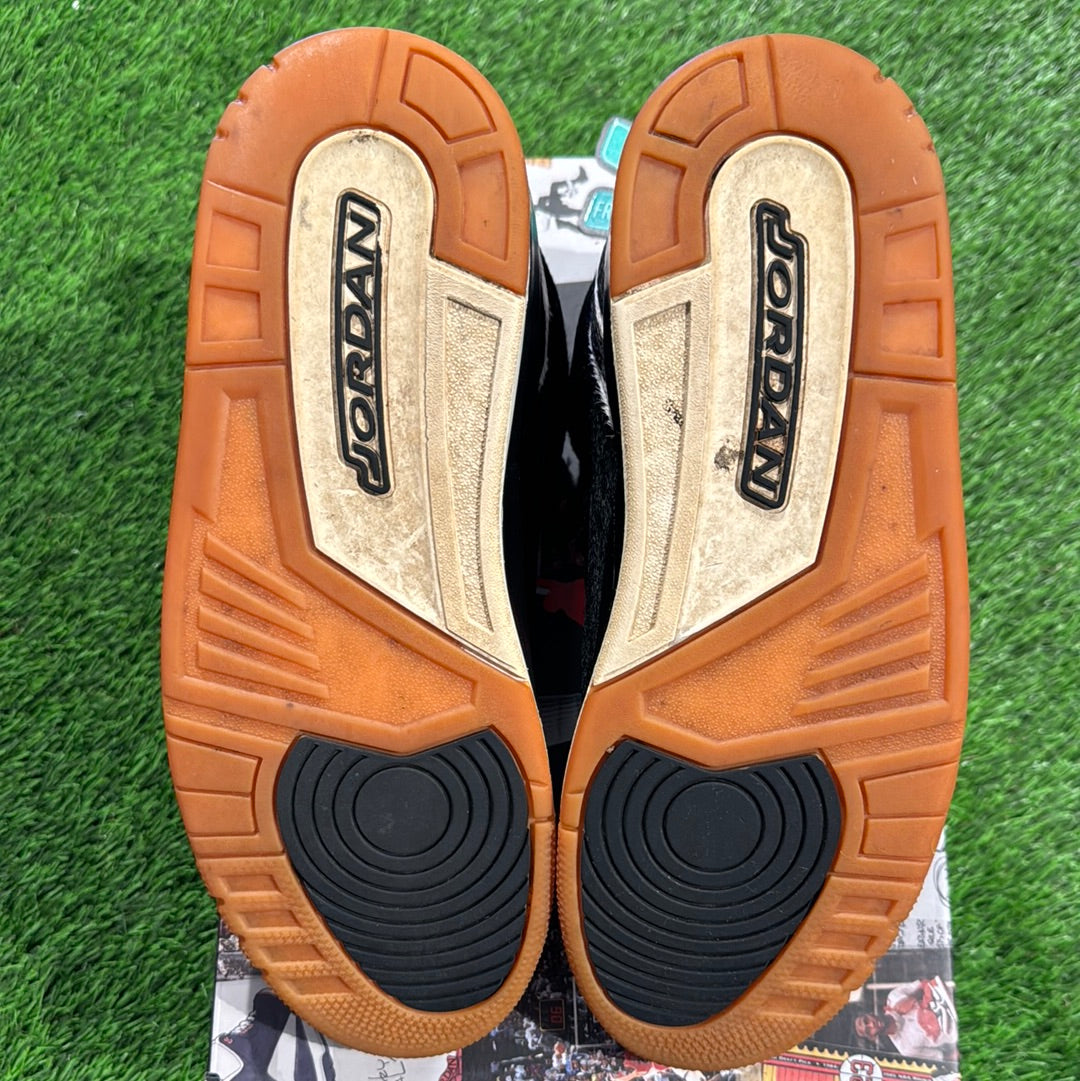 Air Jordan 3 Retro SE 'Animal Instinct'