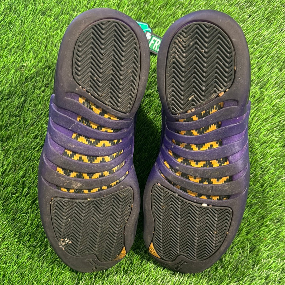 Air Jordan 12 Retro 'Field Purple'