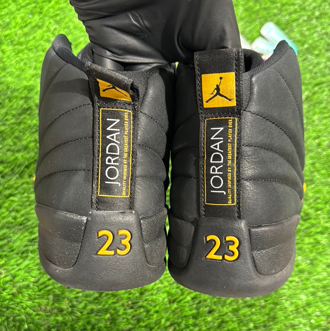 Air Jordan 12 Retro 'Black Taxi'
