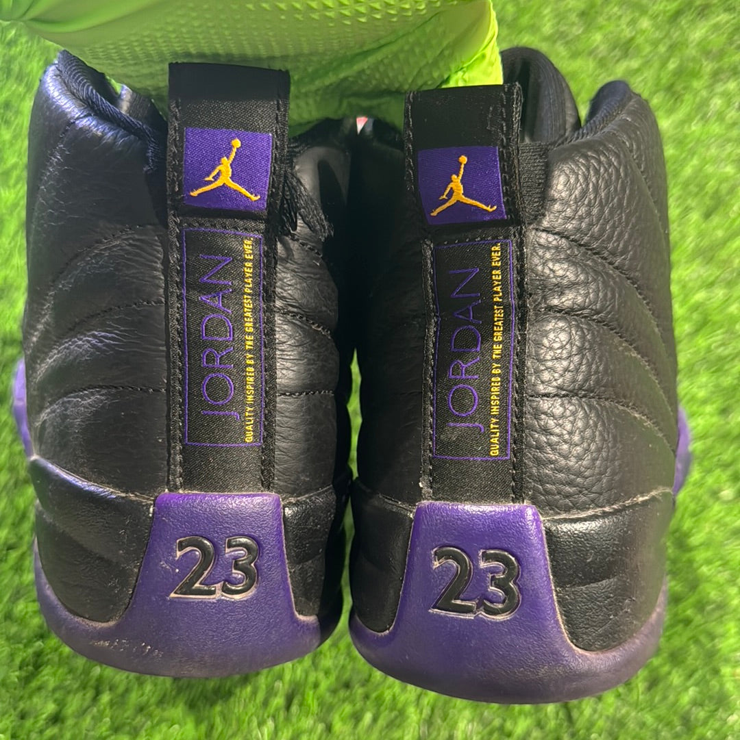 Air Jordan 12 Retro 'Field Purple'