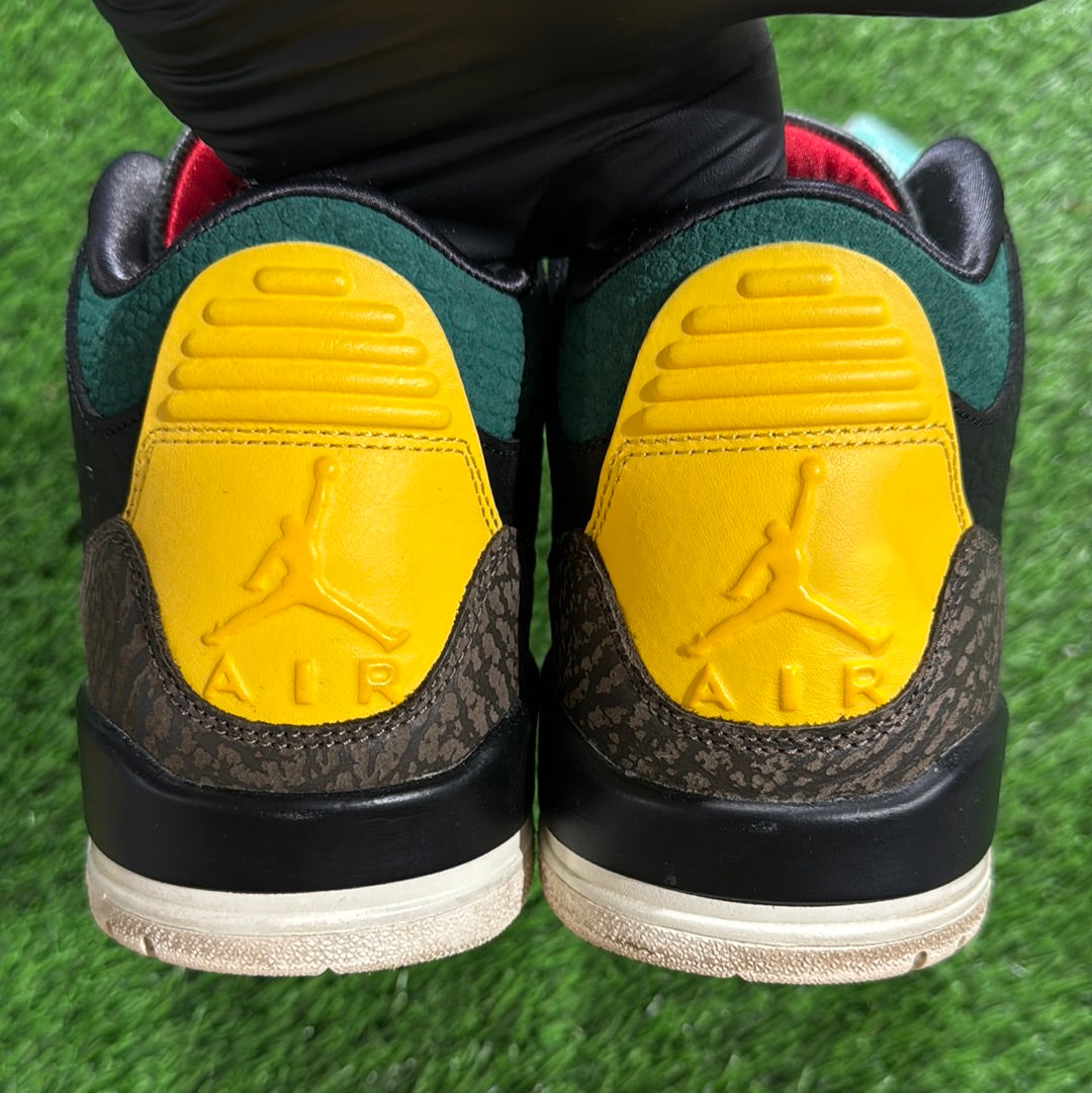 Air Jordan 3 Retro SE 'Animal Instinct 2.0'