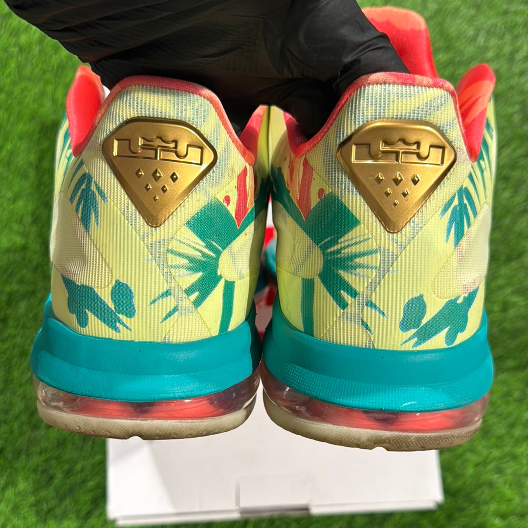 LeBron 9 Low 'LeBronold Palmer'