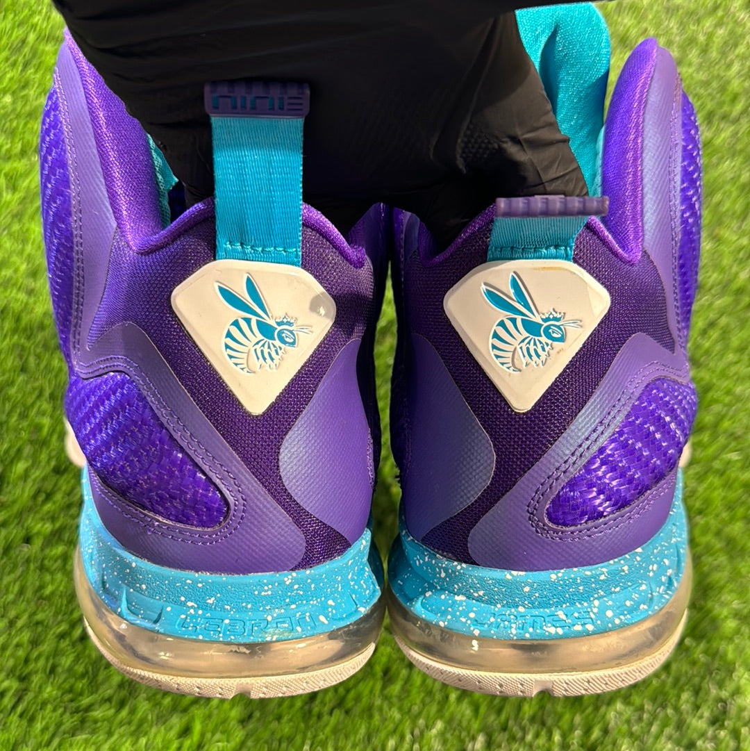 LeBron 9 'Summit Lake Hornets'