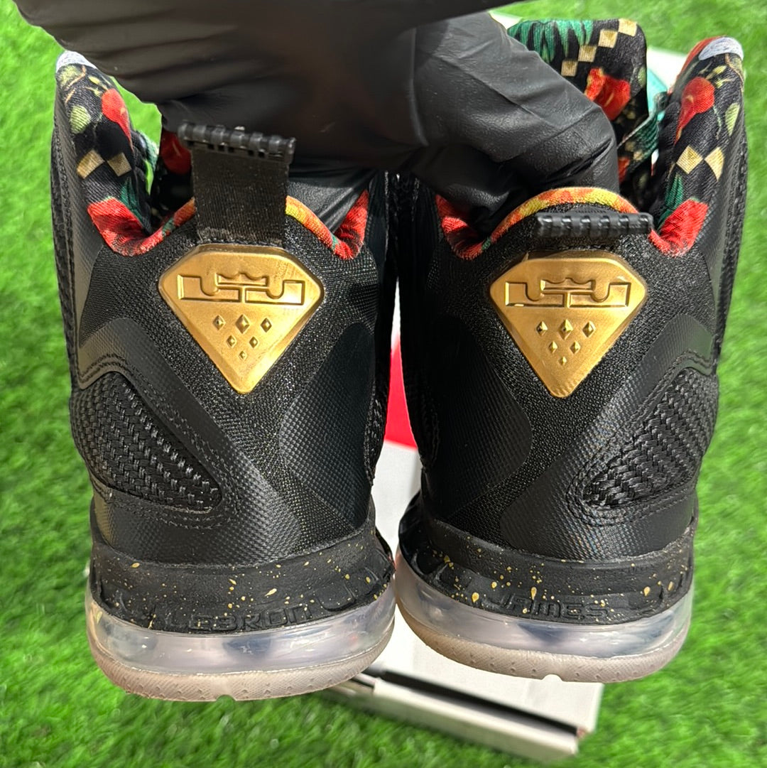 LeBron 9 'Watch The Throne' 2022
