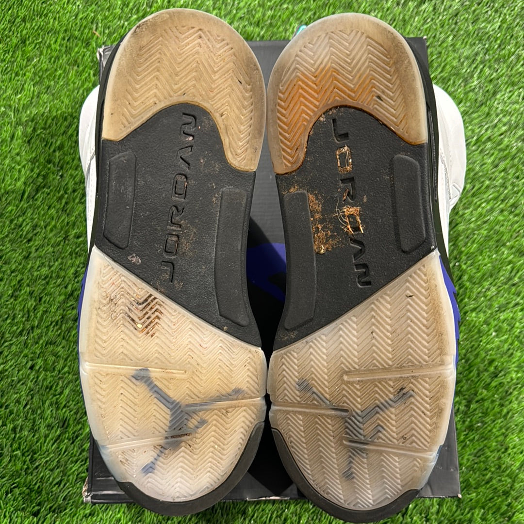 Air Jordan 5 Retro 'Concord'