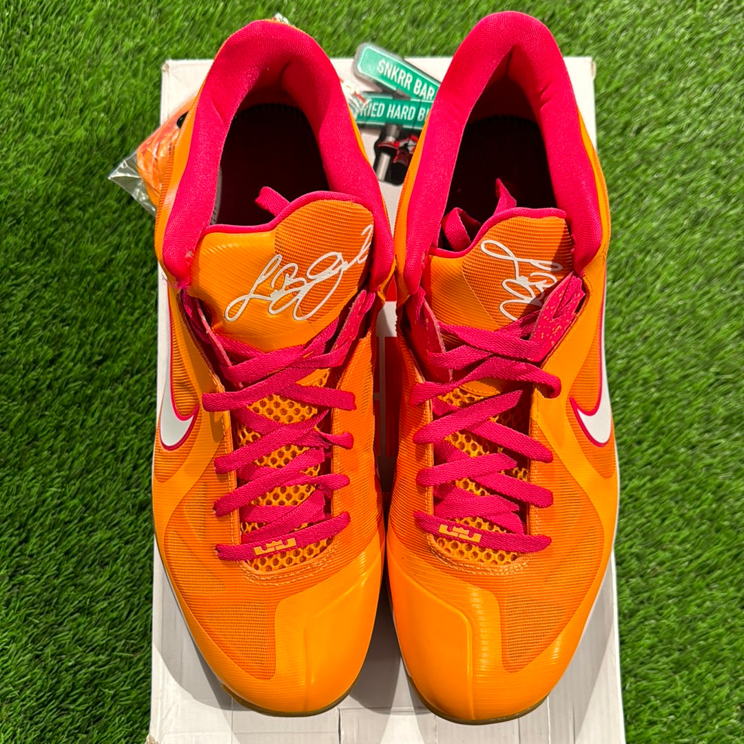 LeBron 9 Low 'Floridian'