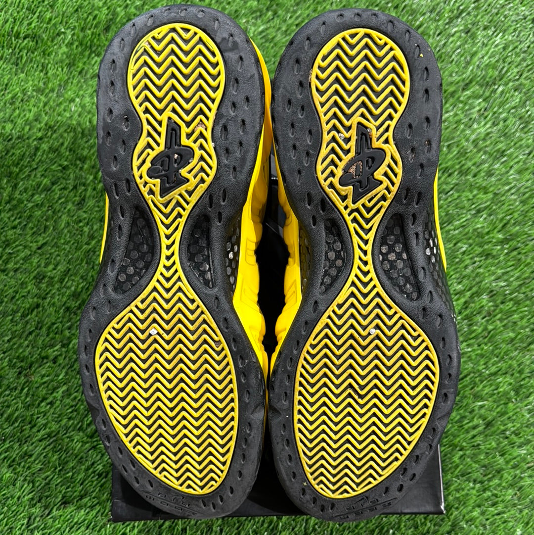 Air Foamposite One 'Wu Tang'