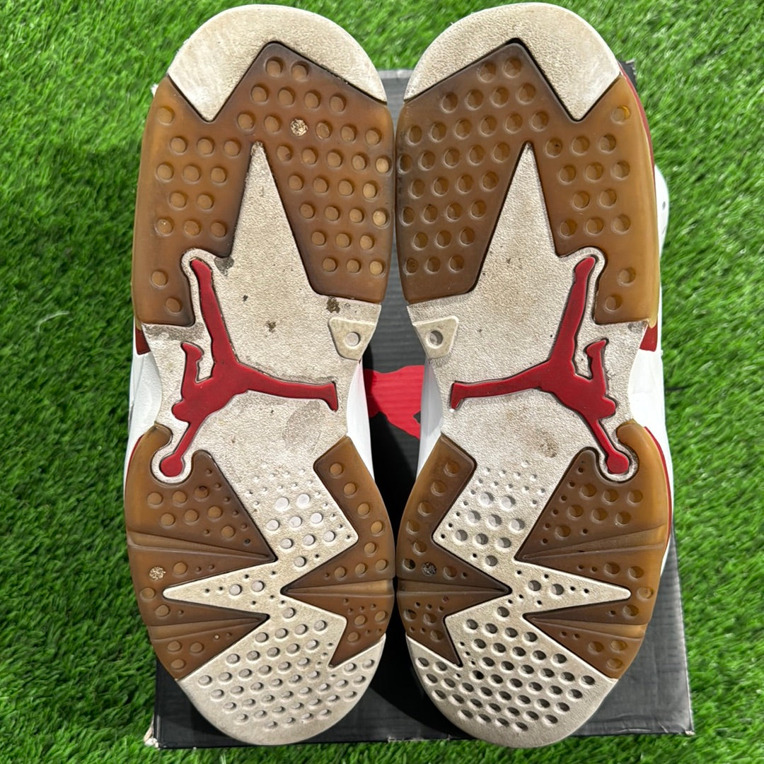 Air Jordan 6 Retro 'Alternate'