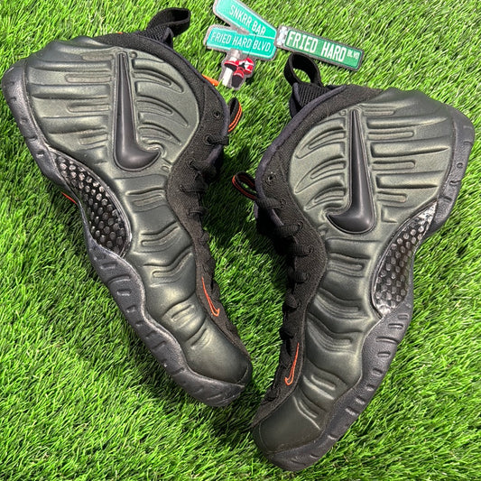 Air Foamposite Pro 'Sequoia'