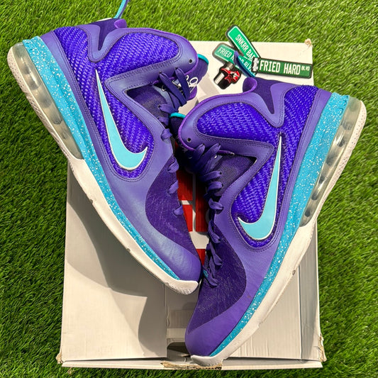 LeBron 9 'Summit Lake Hornets'