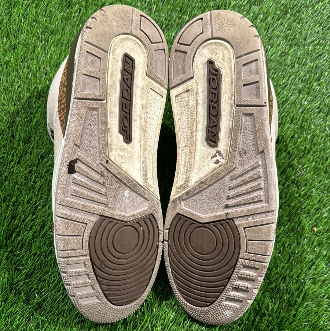 Air Jordan 3 Retro 'Palomino'