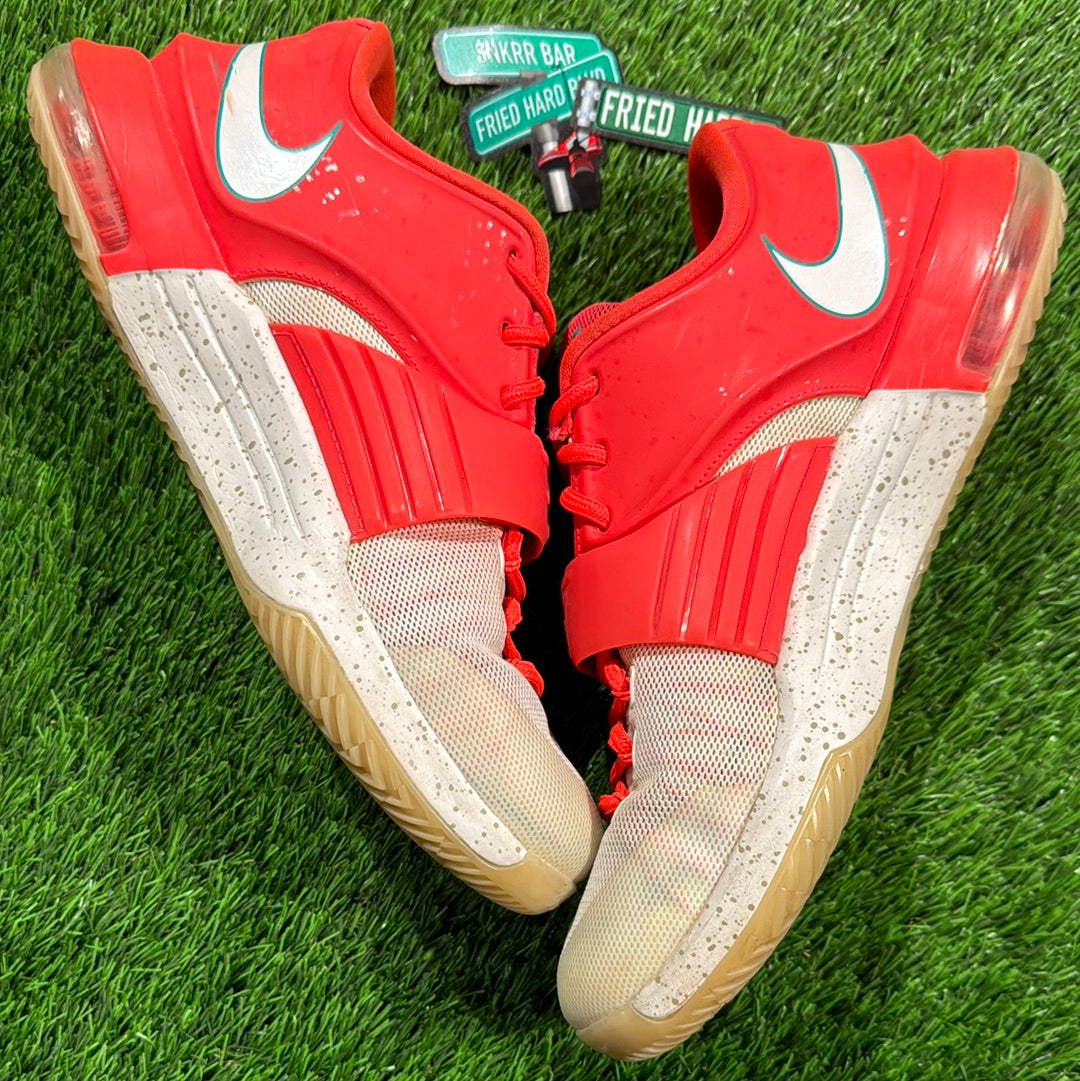 KD 7 Xmas 'Egg Nog' 10.5M/12W