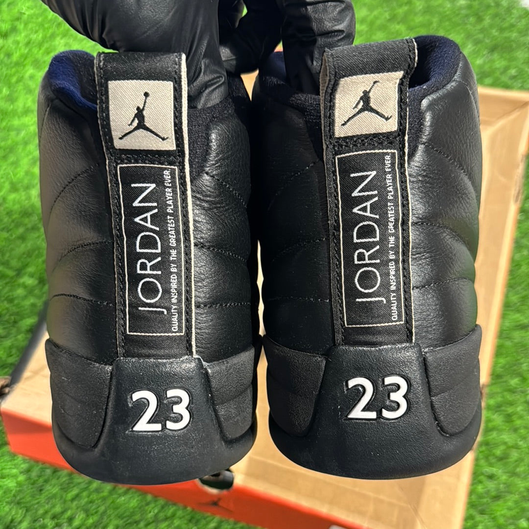 Air Jordan 12 Retro 'The Master'
