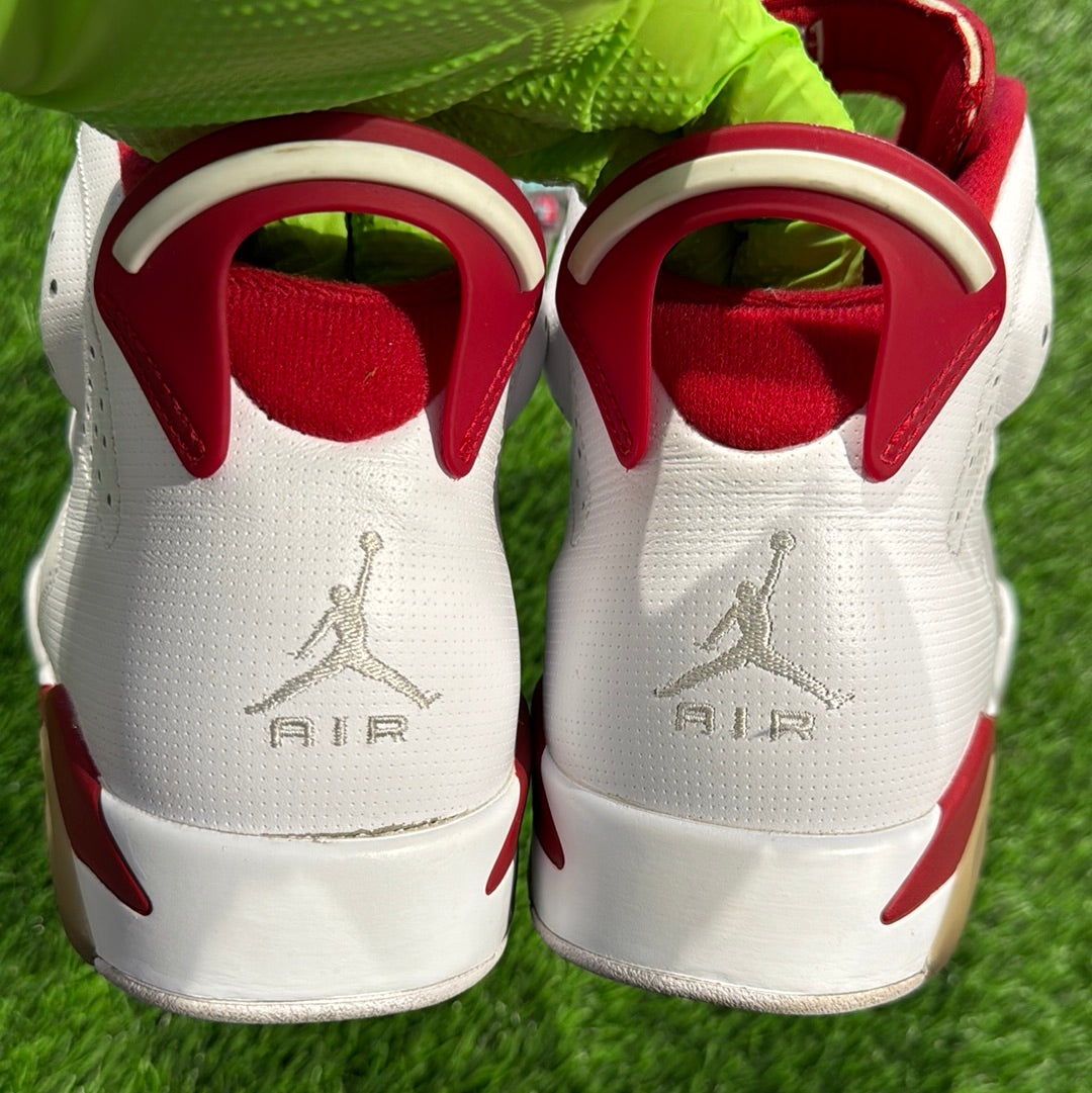 Air Jordan 6 Retro 'Alternate'