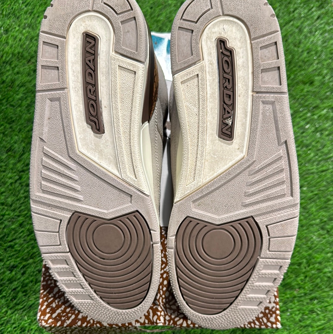 Air Jordan 3 Retro 'Palomino'