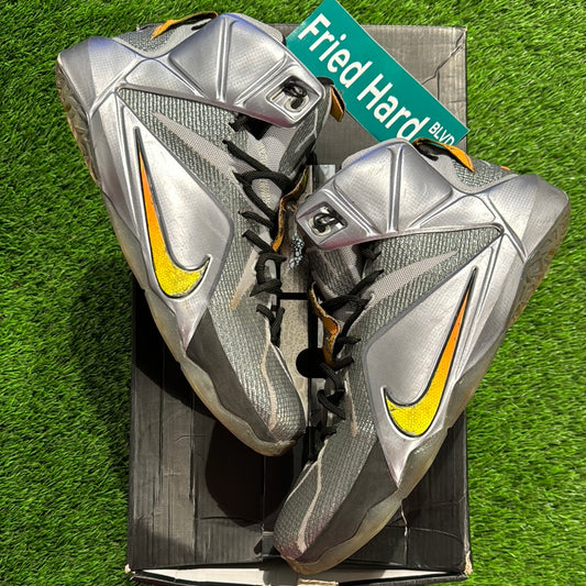 LeBron 12 'Flight'