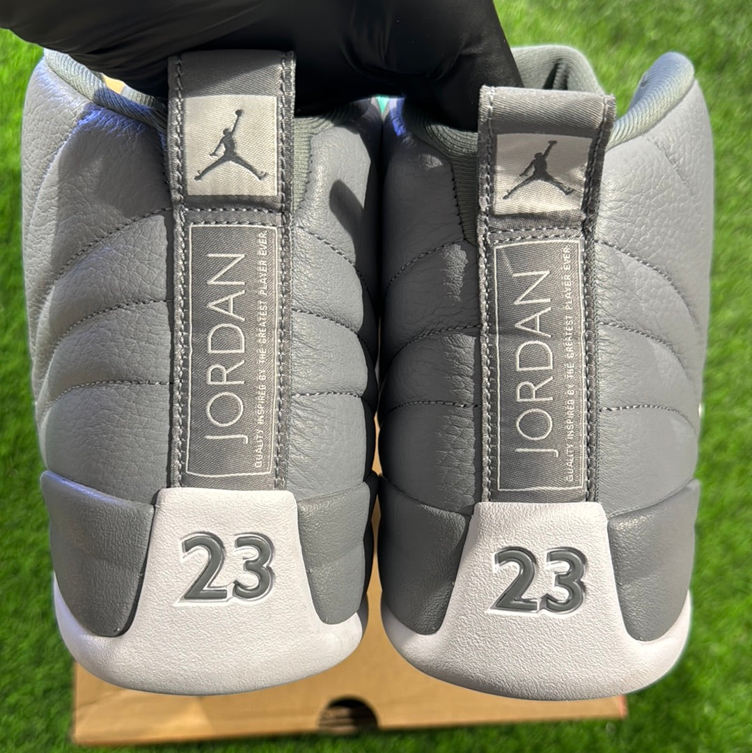 Air Jordan 12 Retro 'Stealth'