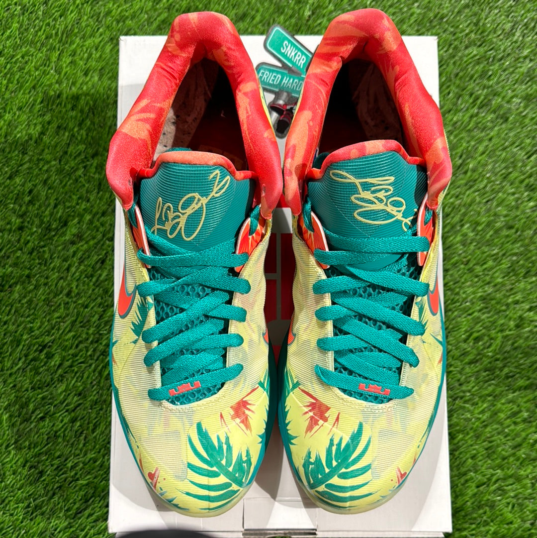 LeBron 9 Low 'LeBronold Palmer'