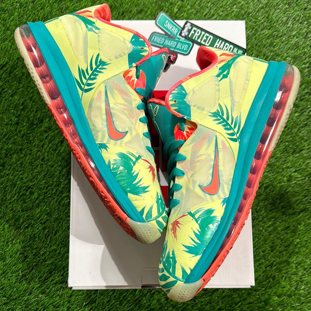 LeBron 9 Low 'LeBronold Palmer'