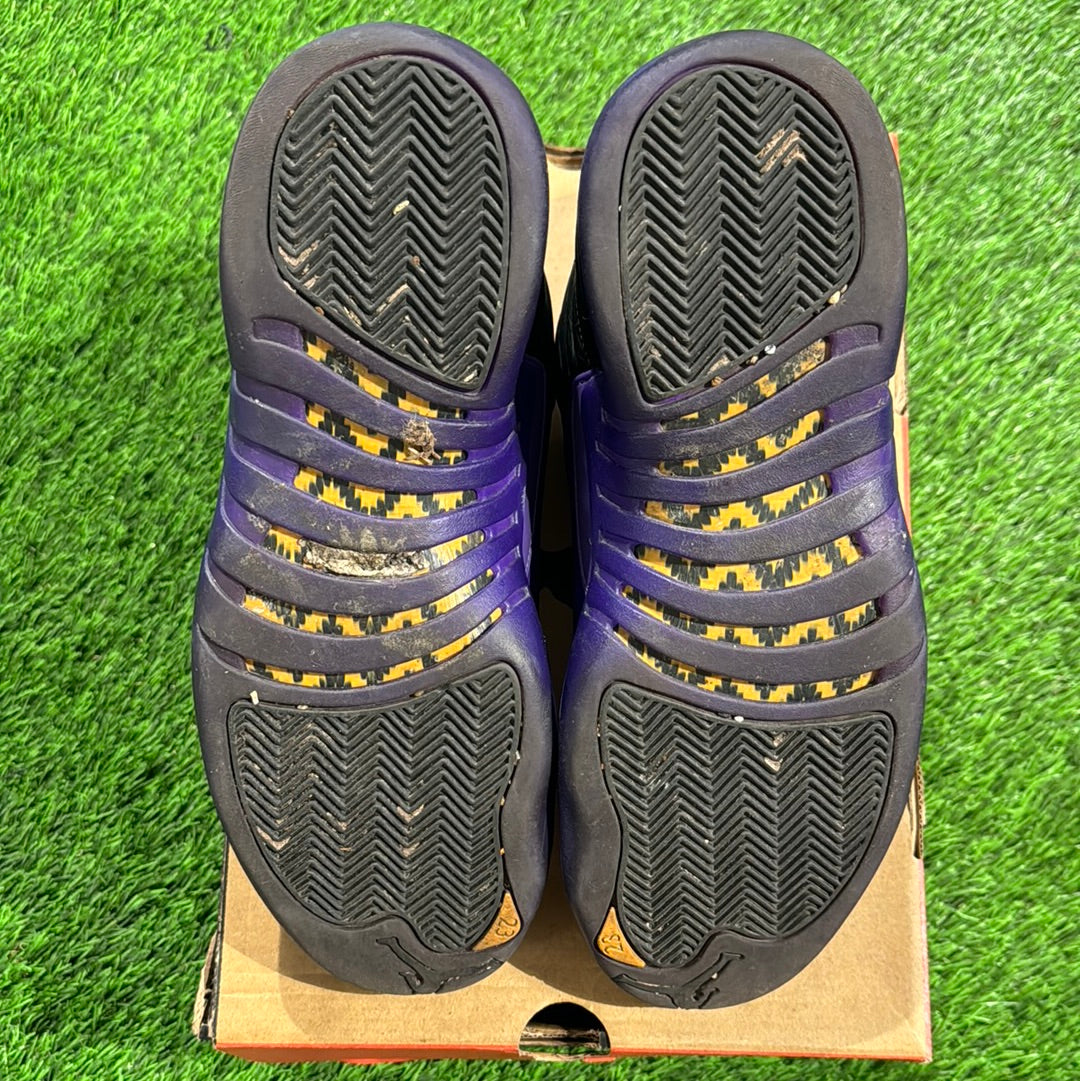 Air Jordan 12 Retro 'Field Purple'