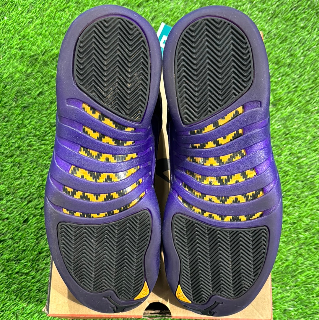 Air Jordan 12 Retro 'Field Purple'