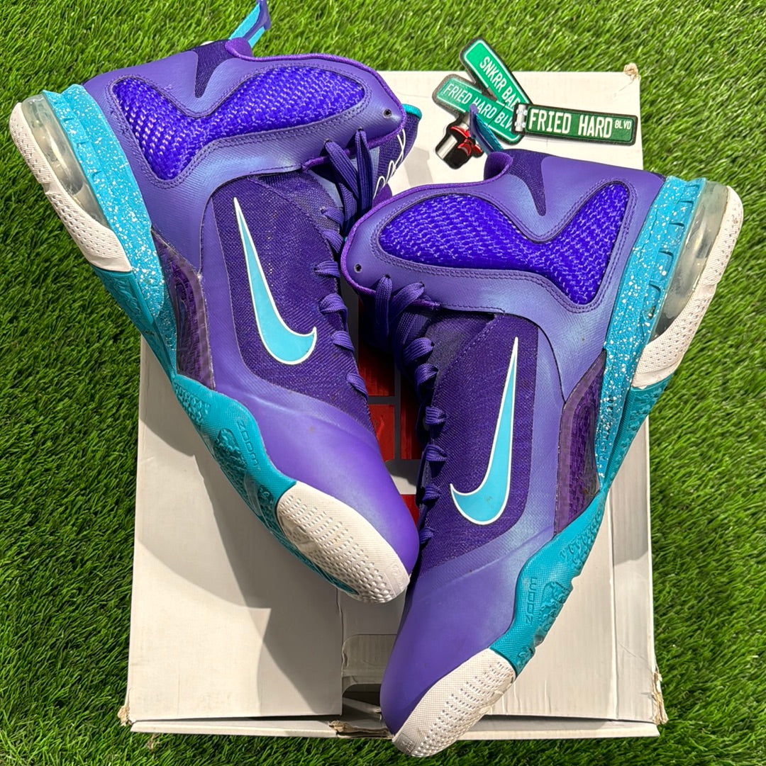 LeBron 9 'Summit Lake Hornets'