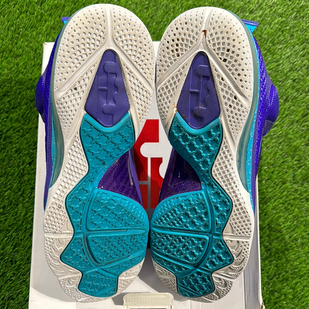 LeBron 9 'Summit Lake Hornets'